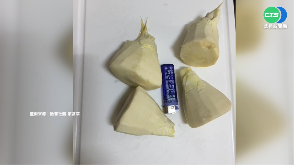 漲聲響! 4塊冬筍600元 筍農嘆:難挖