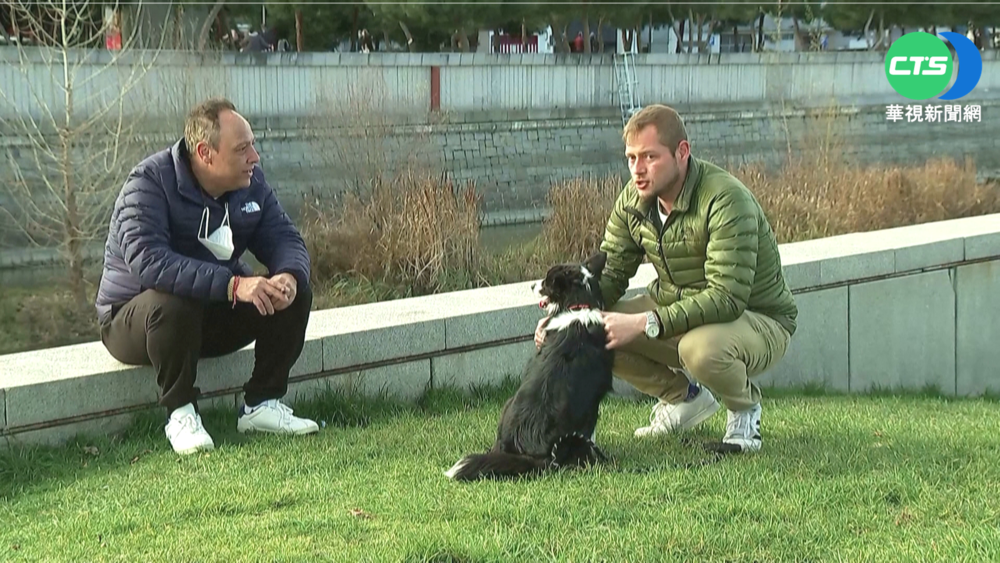 "監護權我的!" 分手情侶為狗鬧上法院