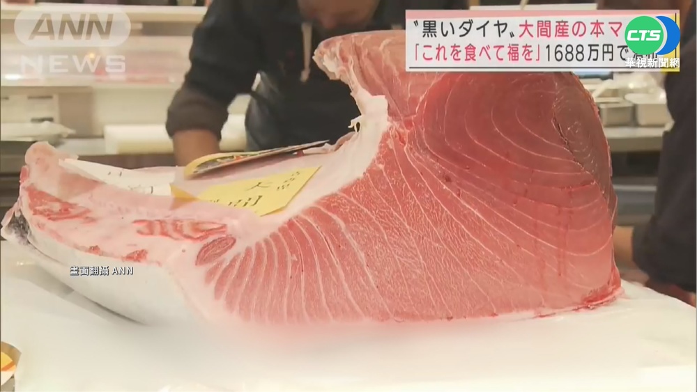 連3年跌價 日今年"第一鮪"402萬元賣出