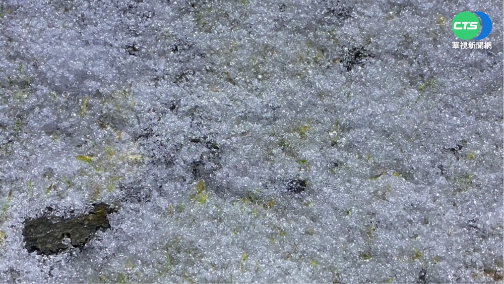 玉山.雪山一片銀白世界 宛如北國風情