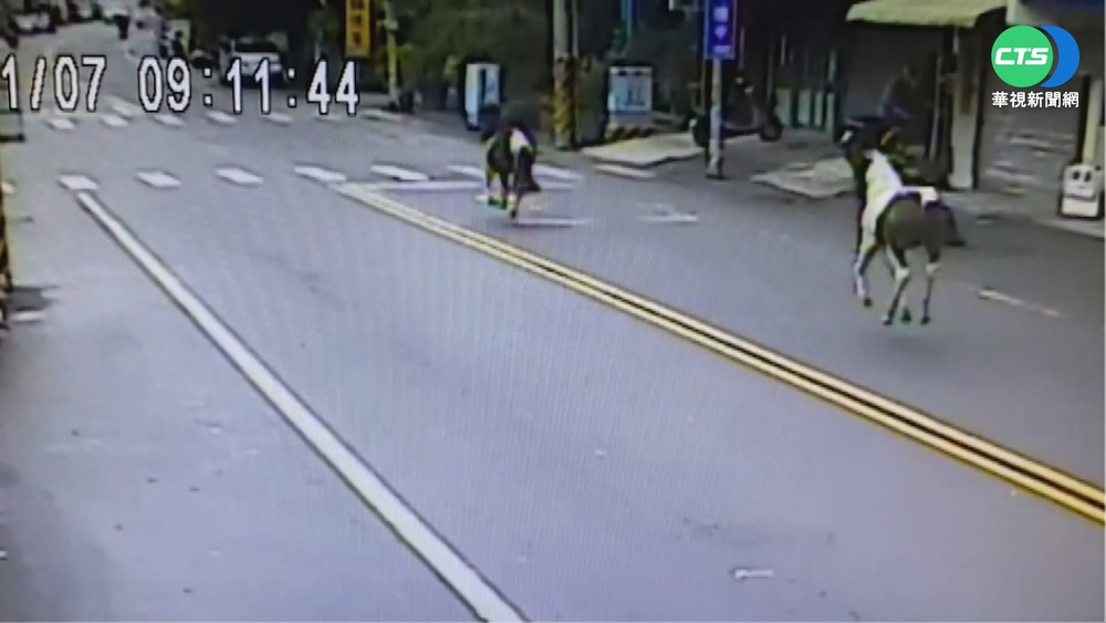 2馬大街狂奔 用路人閃避險象環生