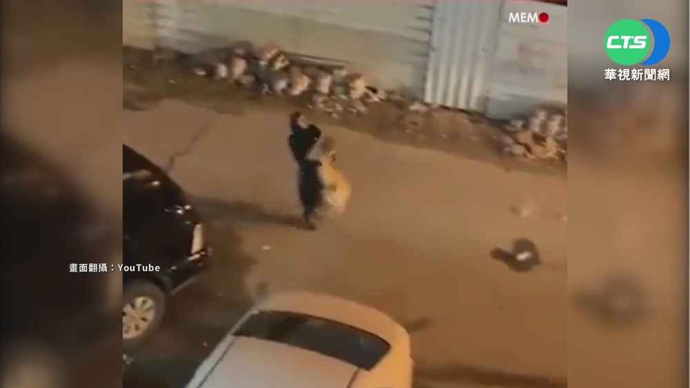 女力爆發! 科威特女子"徒手抱回寵物獅"