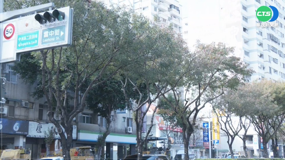 台中市區颳8級強風 路樹.騎士慘摔