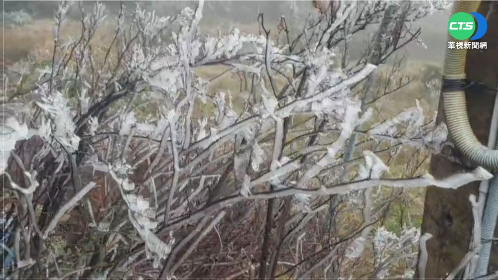 冷氣團發威! 武陵農場1度 台7甲線現霧淞