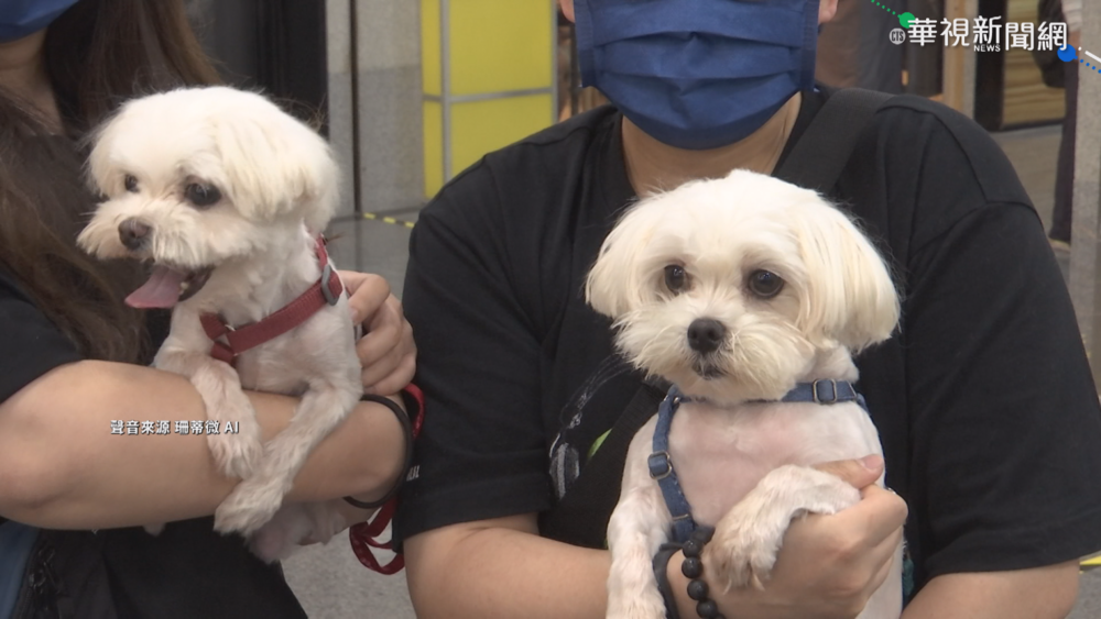 北市動保處抽驗百件寵物食品 查獲3成標示不符或未申報