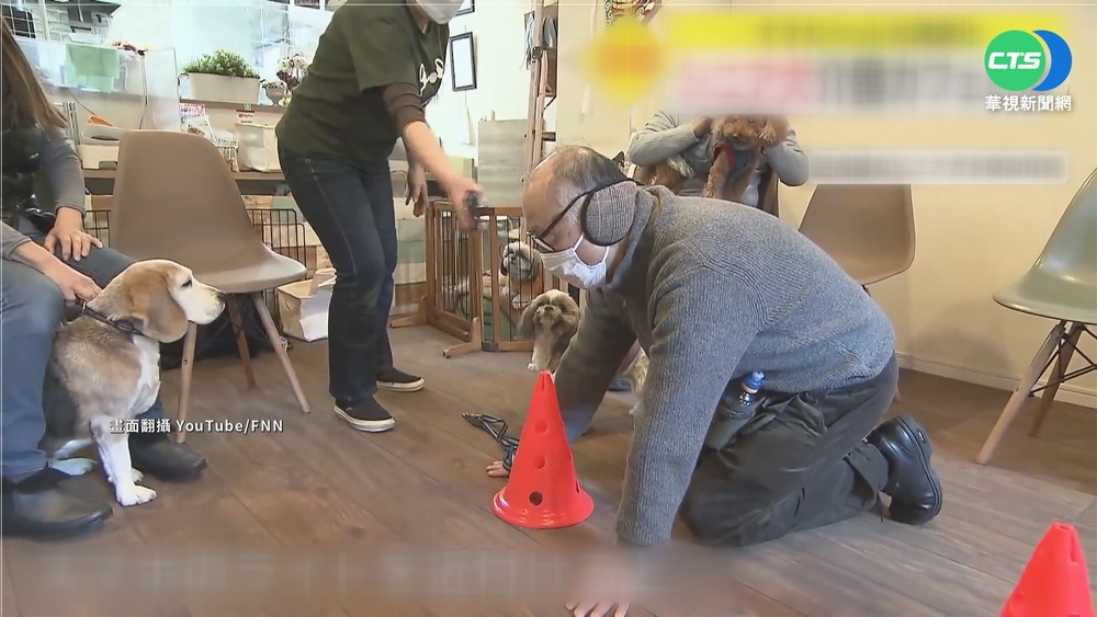長照高齡毛小孩 日老犬咖啡廳照護商機
