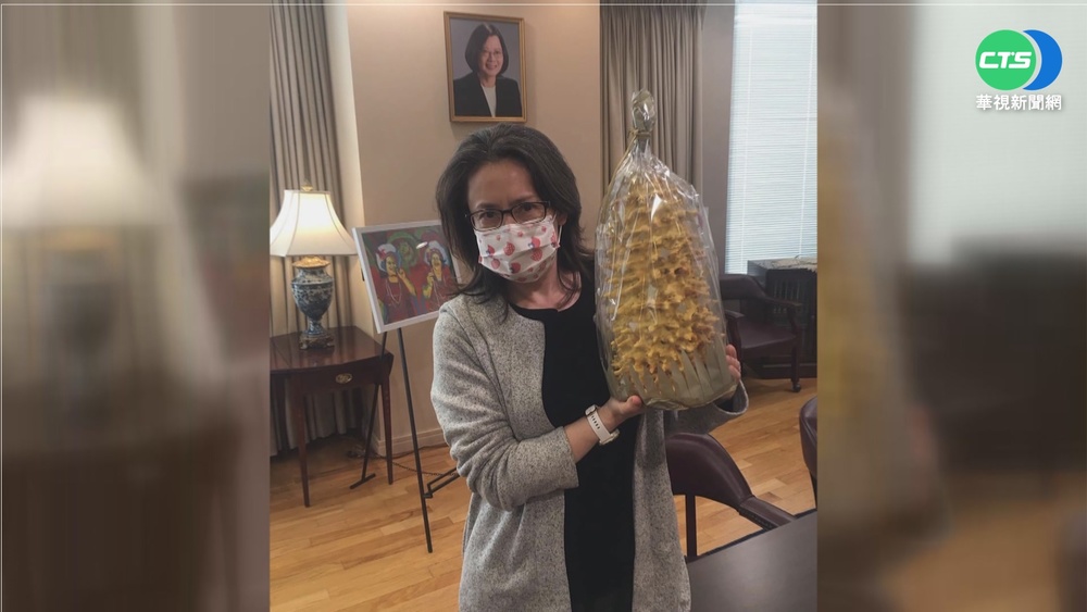 PK立陶宛口味! 屏東推在地"櫻花蝦米蛋糕"