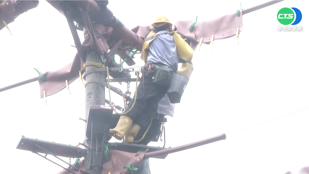"台電奧運"登場 "極限檢修員"秀絕活