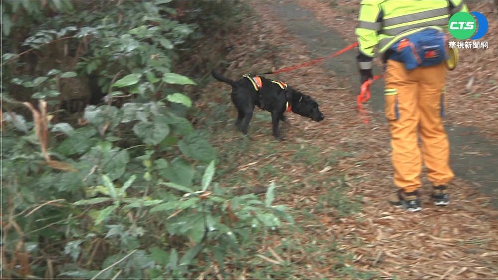 全台唯一! "路徑搜索"搜救犬救難急先鋒