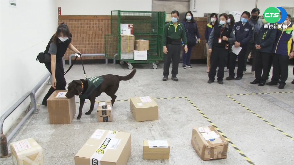 泰籍移工收家鄉味 香腸驗出非洲豬瘟遭送辦