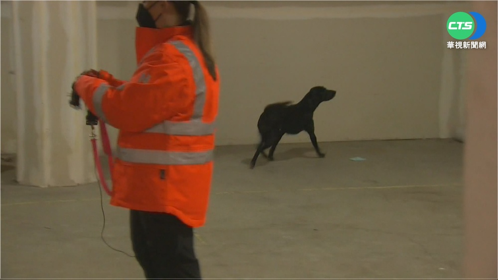 美荒廢學校有妙用! 變身搜救犬訓練地