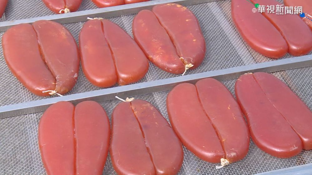 網瘋傳「烏魚、午仔魚偷用藥」 漁業署：其心可誅