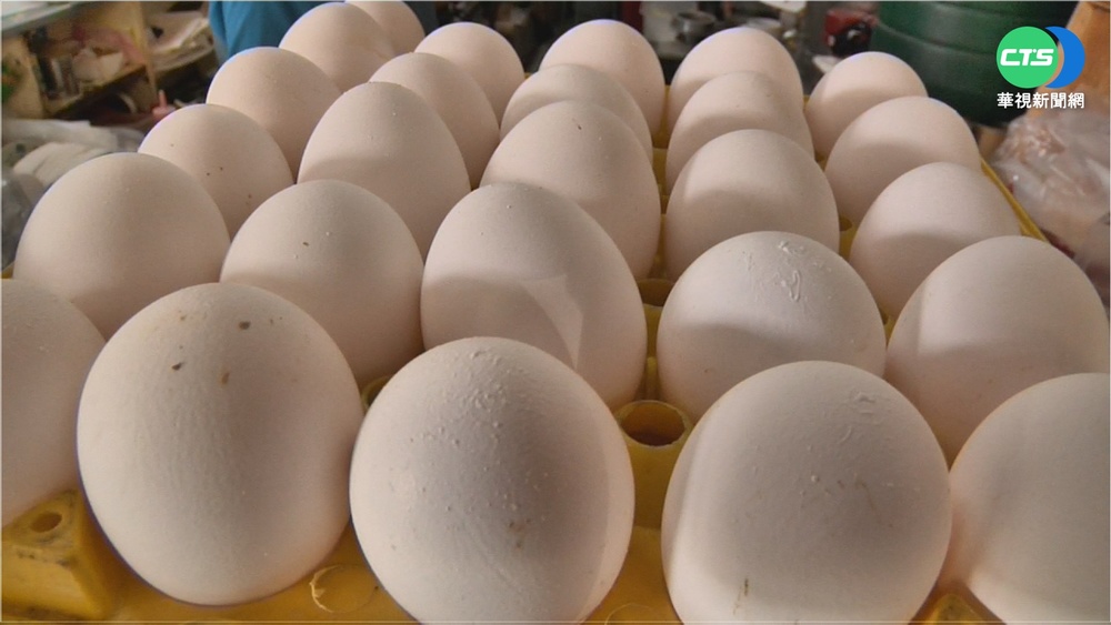 天冷產量降.飼料貴 雞蛋1斤恐飆50元