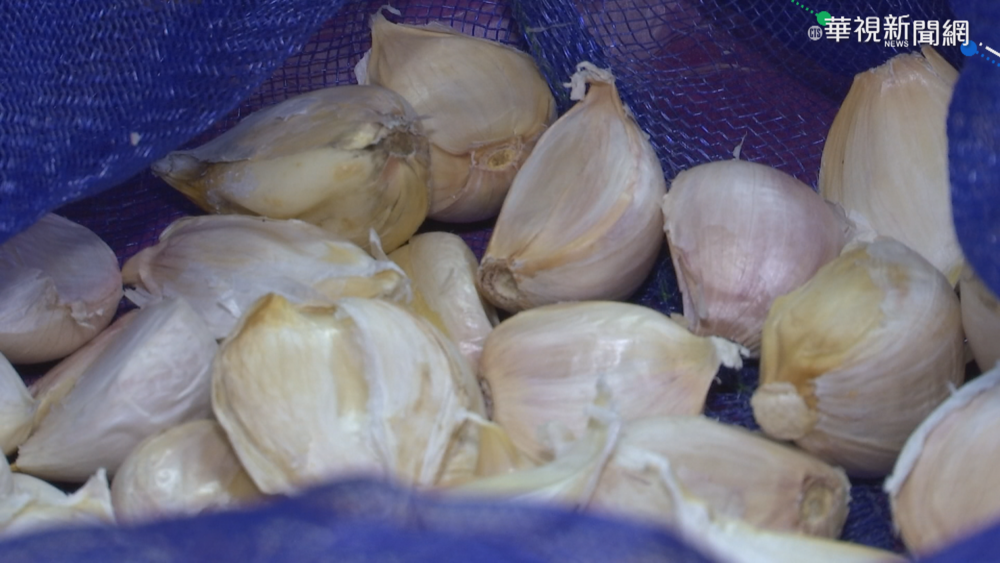 蒜頭「保存15個月」妙招曝！網狂讚：又學到了