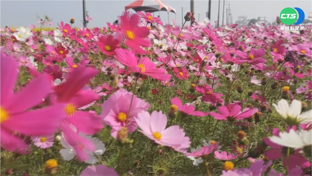 佛光山燈會將登場 四大主題加燈光秀