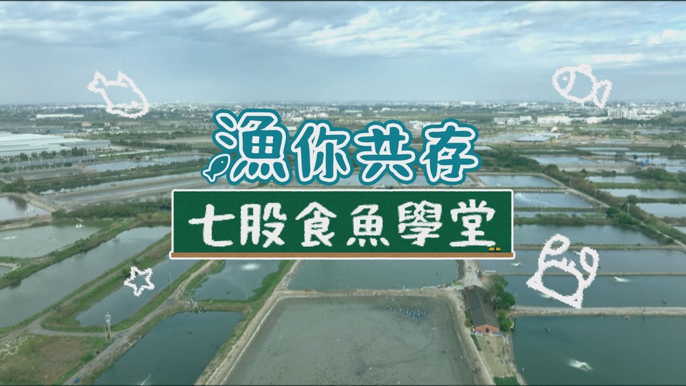 食魚教育 推廣在地產業｜點亮老漁村｜華視新聞雜誌