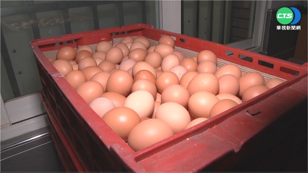 商行設蛋限購令 2小時被搶光引民憤
