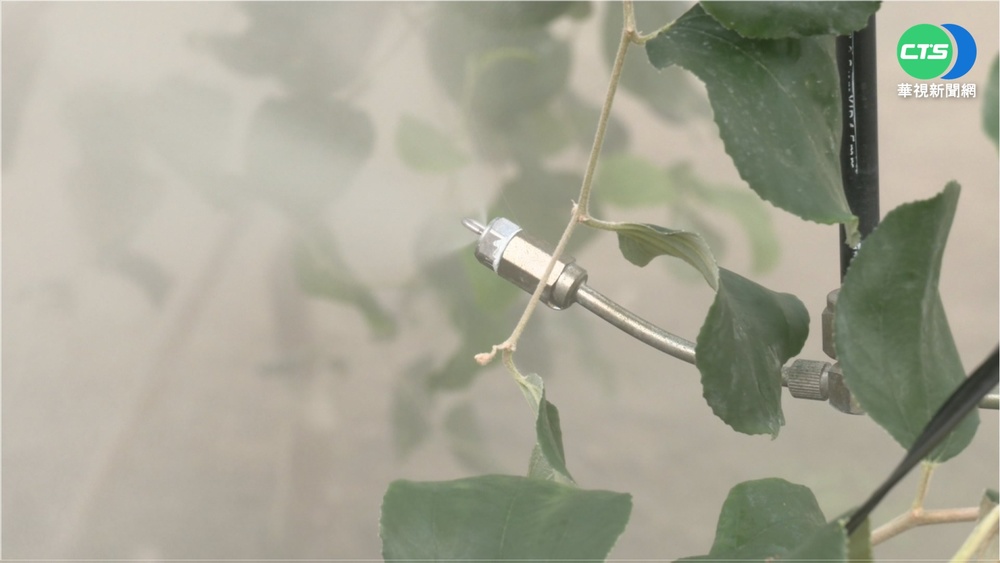 "智慧科技"成助力 打破農業看天吃飯限制