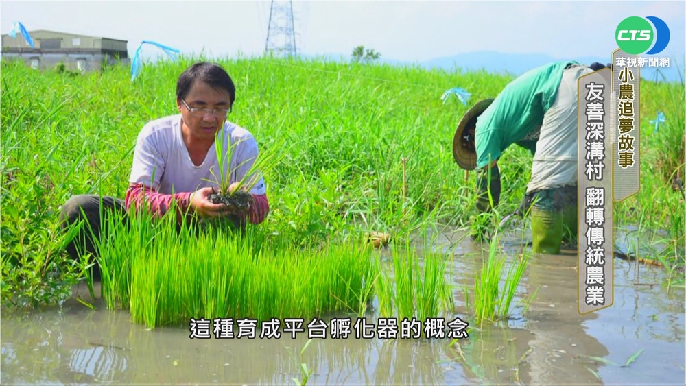 小農追夢故事 友善深溝村 翻轉傳統農業