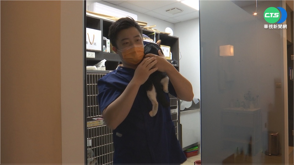 憂毛小孩過年不適 佛心獸醫連假不打烊