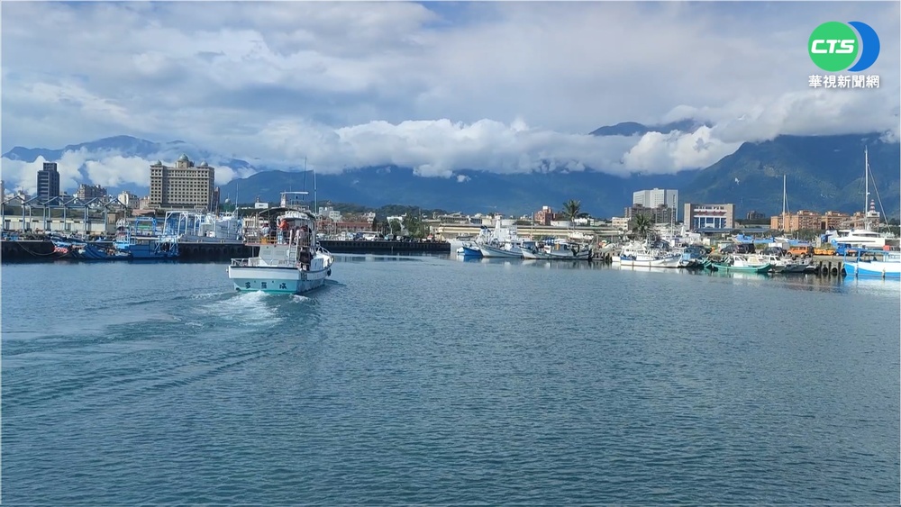 花蓮賞鯨船增開出航 宜傳藝中心鄉親免錢