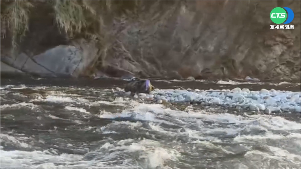 婦泡湯溯溪遭沖走 警消上午尋獲遺體