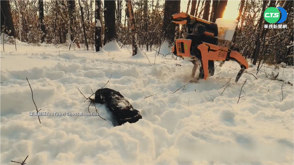 機器狗巡邏美墨邊境 環境惡劣使命必達