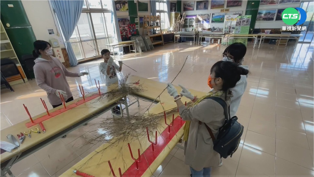 體驗竹.茶DIY 到"小半天"可玩大半天