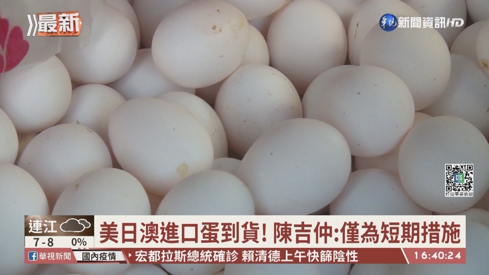 【台語新聞】搶救雞蛋荒! 陳吉仲公布推獎勵措施