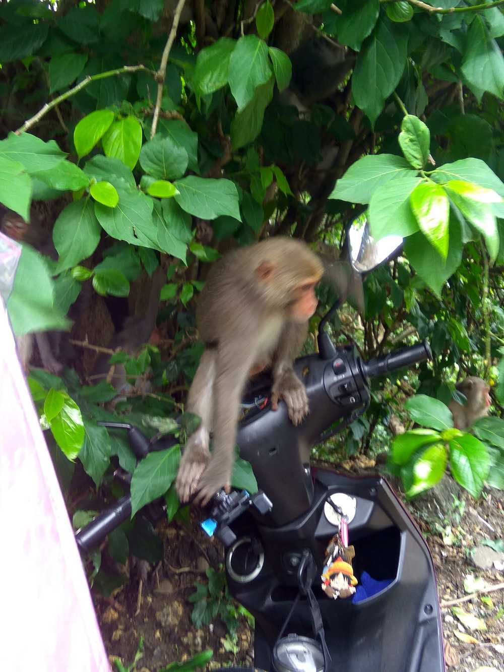 圖/翻攝自臉書社團「爆廢公社」