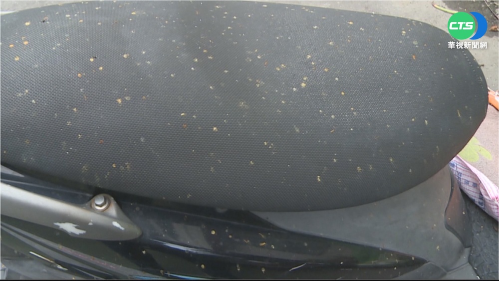 住宅區養30箱蜜蜂 民眾怒:排泄物毀車