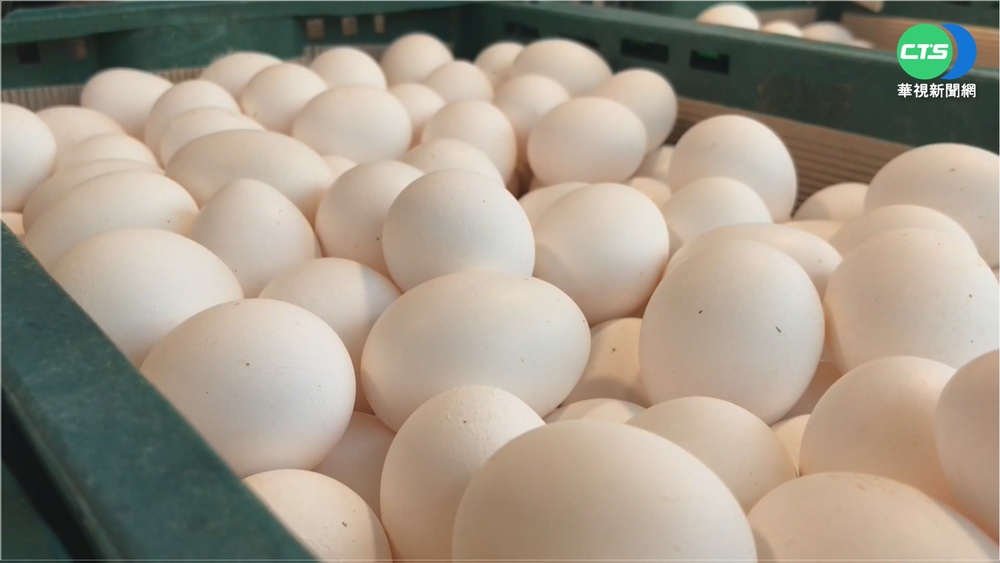 蛋價解"凍"每台斤漲2元 民怨:貴又難買