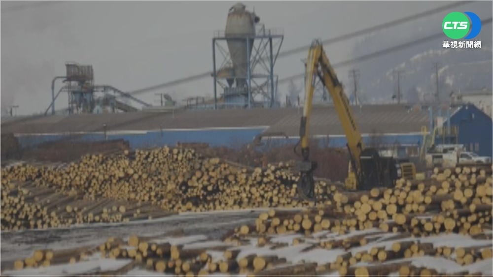 "地球暖化"甲蟲孳生傷樹 美國房價飆漲