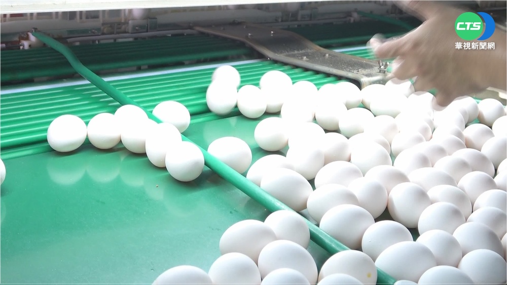 蛋價解"凍"每台斤漲2元 農委會盼解蛋荒