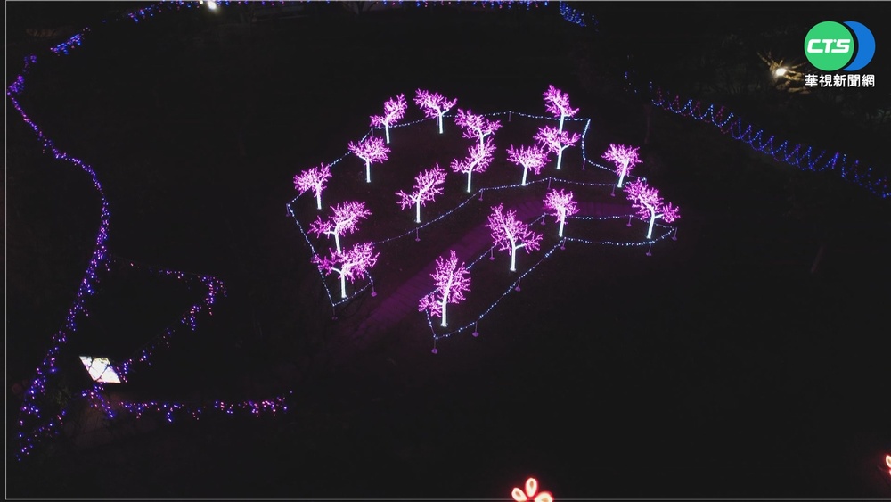 桃園燈會｢桃花林｣ 春夏秋冬桃花重現