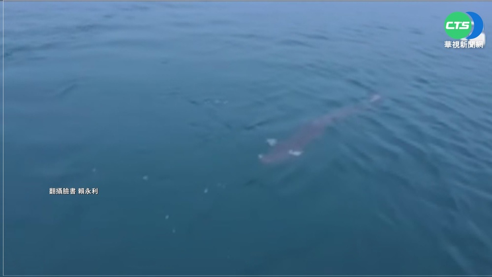 日月潭"有水怪"? 立槳教練po圖引關注