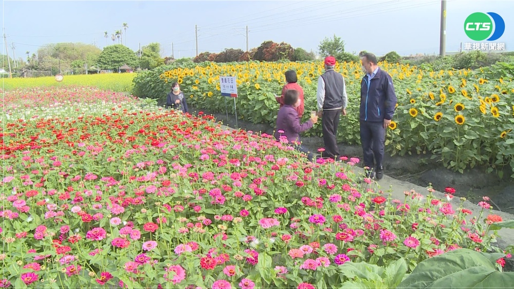 女獨自衝合歡山賞景 車輪卡山溝求助警