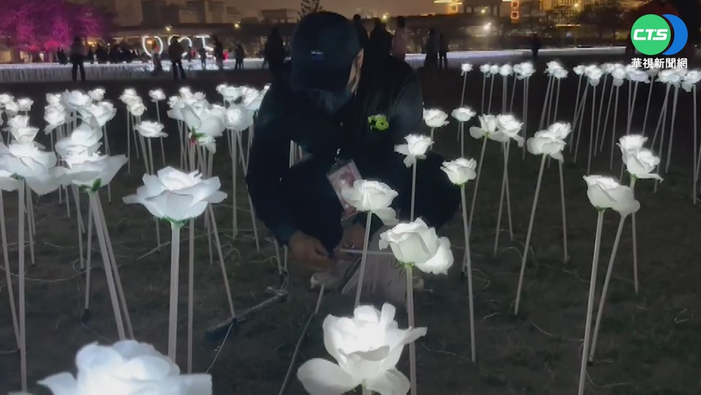才開放10天! 台南玫瑰燈海遭破壞急架圍籬