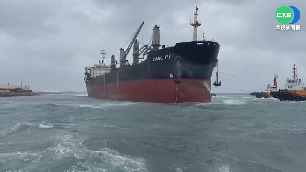 梧棲破8級陣風吹斷路樹 砸車幸未傷人