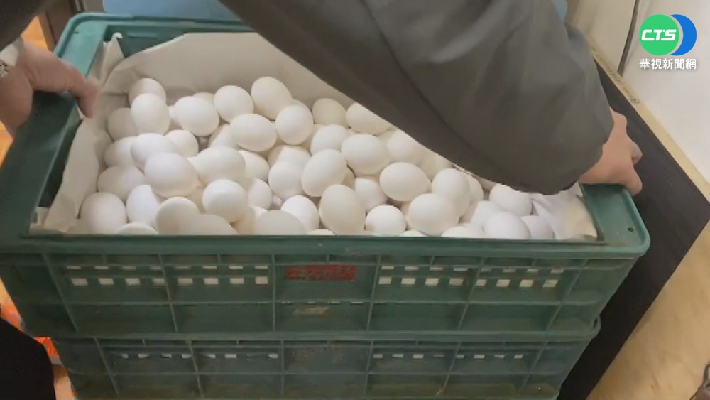 蛋雞"凍"未條不下蛋 雞蛋產量少2成