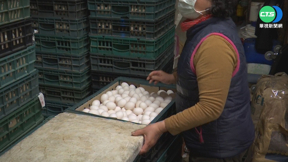 首批"外援蛋"抵台 3月底前共5百萬顆救急