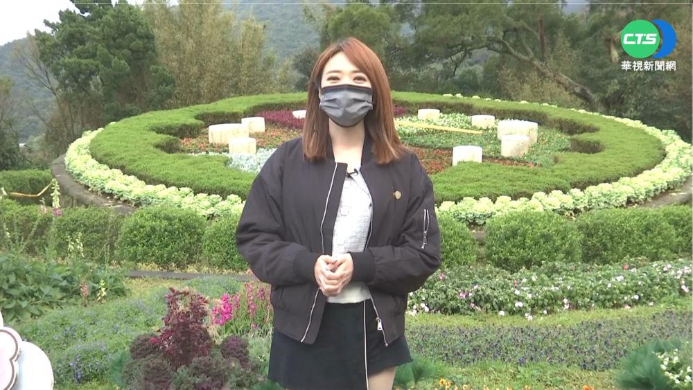 終於轉晴! 228連假陽光露臉 賞花好時機