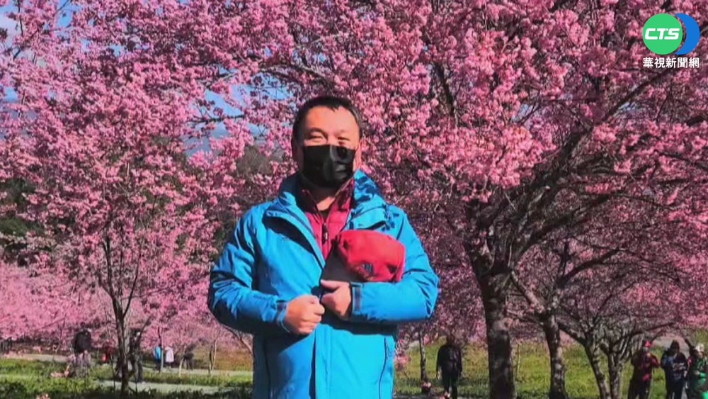 花都開好了! 奧萬大純白霧社櫻盛"綻"