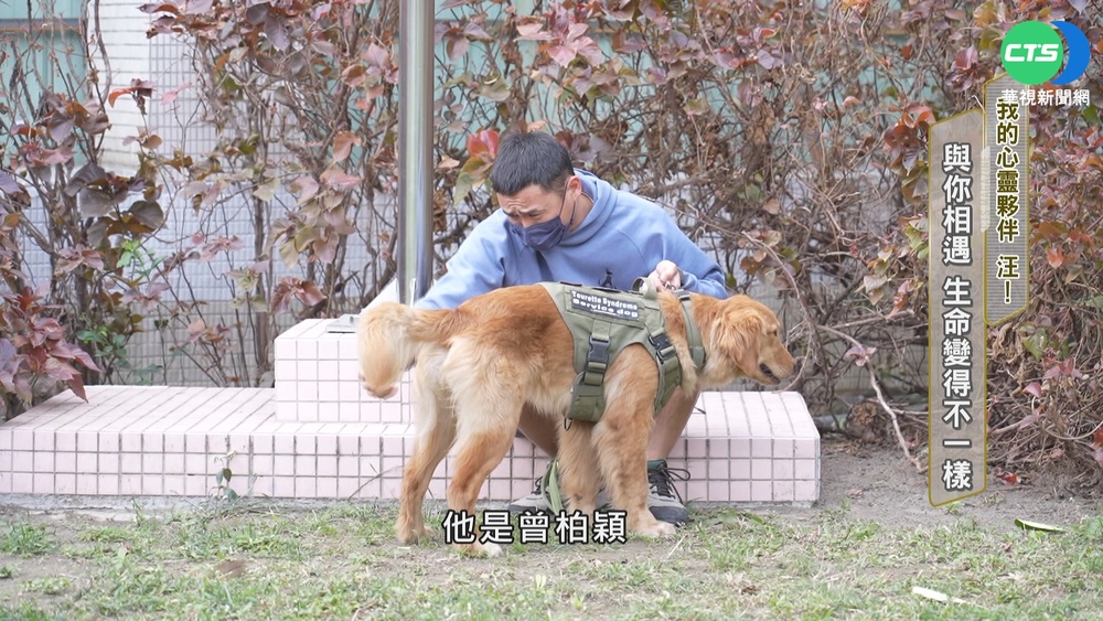 我的心靈夥伴 汪! 與你相遇 生命更溫暖