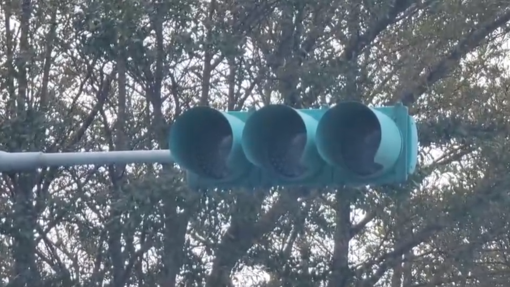 最新》台電證實「興達電廠開關場事故」 高雄災情曝光