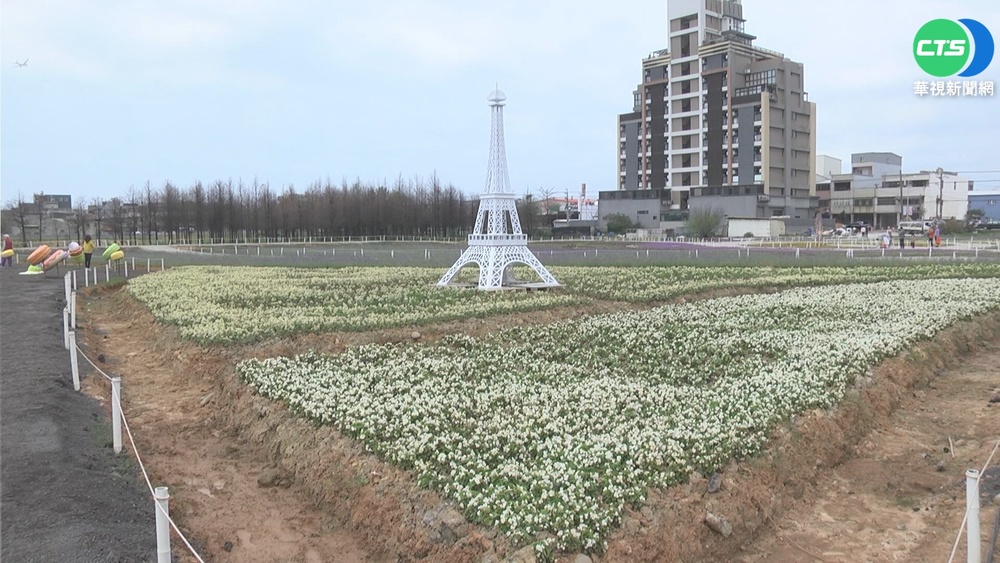 桃綠色生活悠遊節 打造花海.環保市集