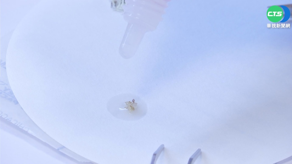 警破汽車旅館命案 全靠"一滴汗"揪凶