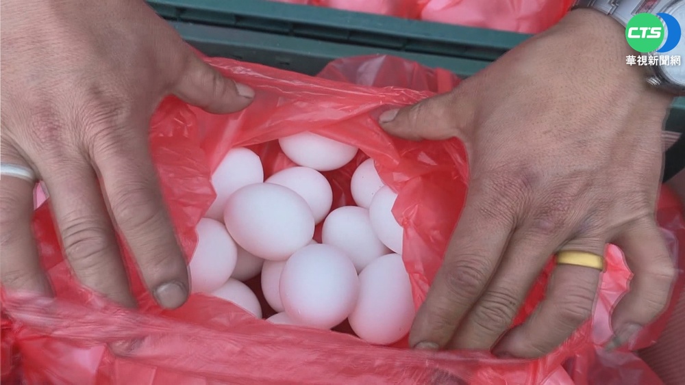 憂弱勢族群買嘸蛋 熱心男買180斤免費送!