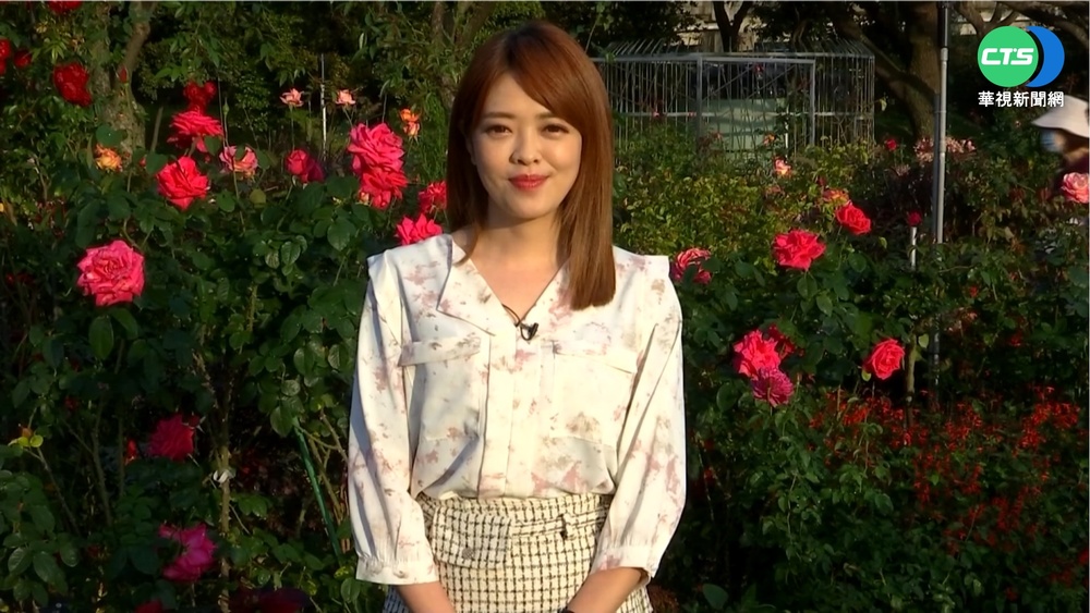 把握週末好天氣! 來新生公園賞浪漫玫瑰