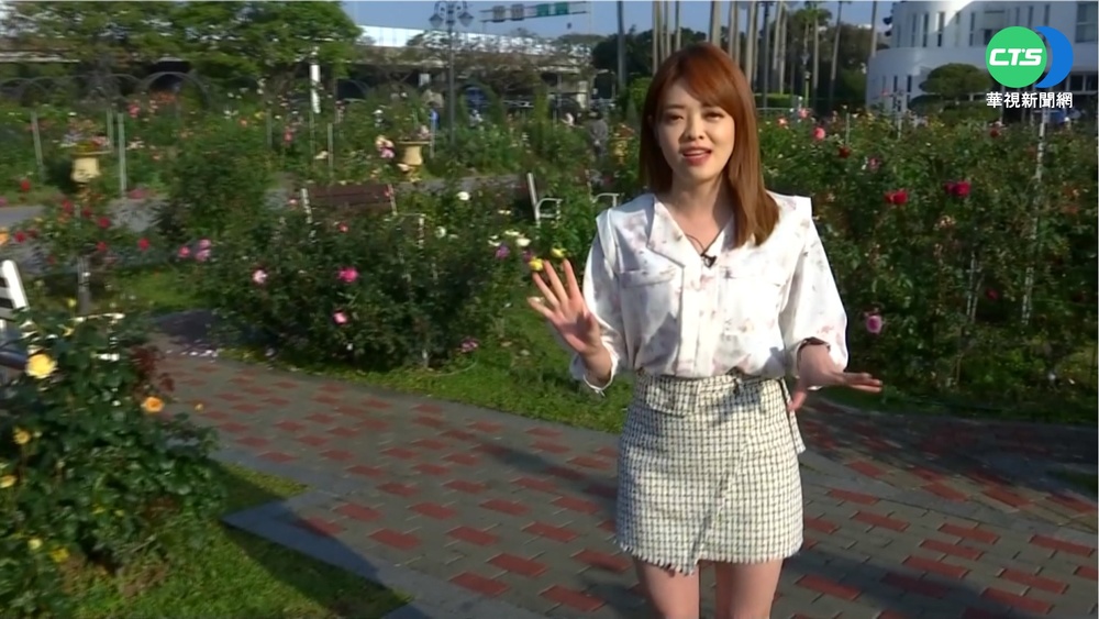 把握週末好天氣! 來新生公園賞浪漫玫瑰